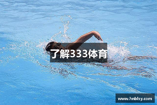 了解333体育